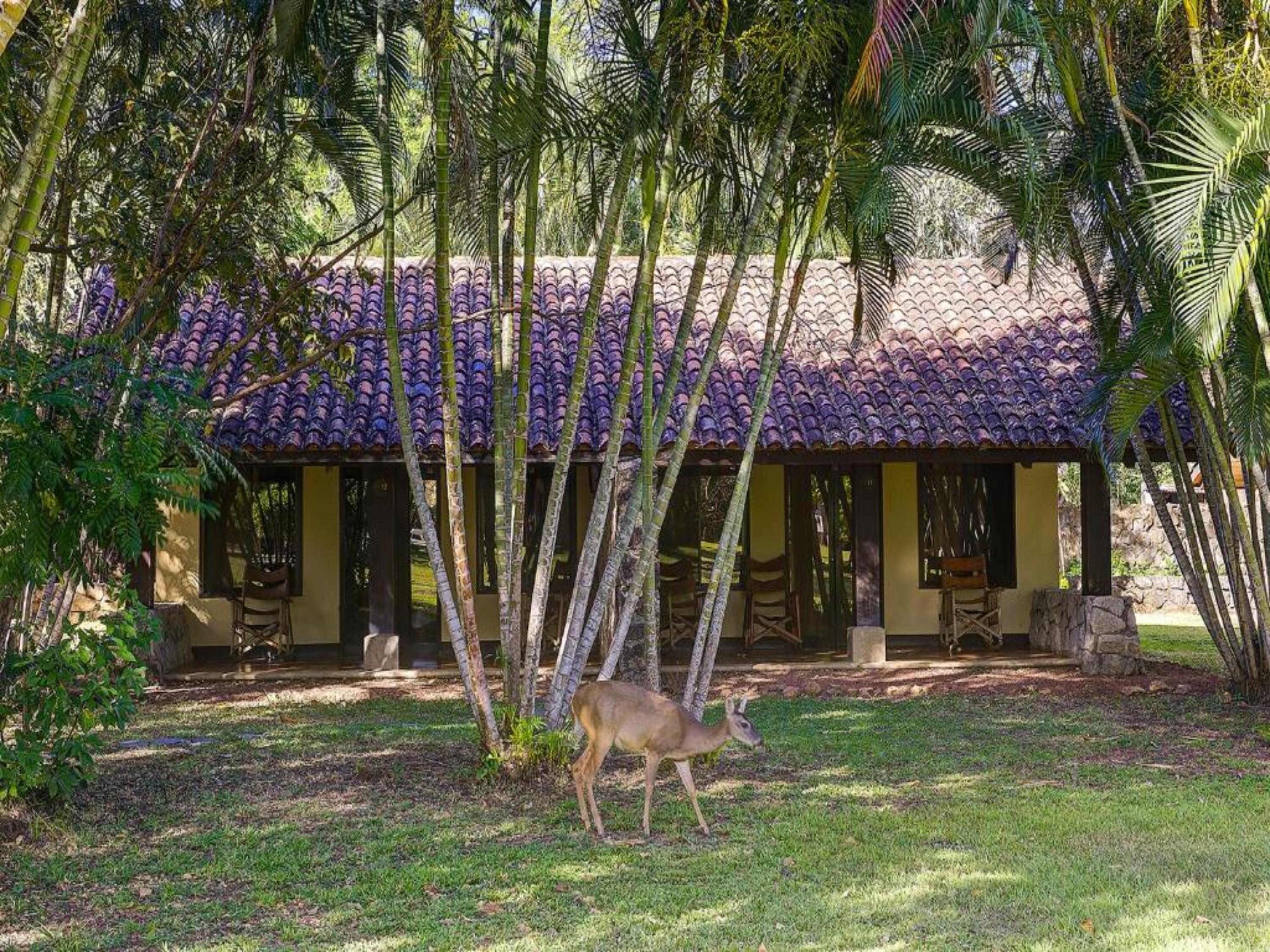 Hotel Hacienda La Pacifica Canas Exterior photo